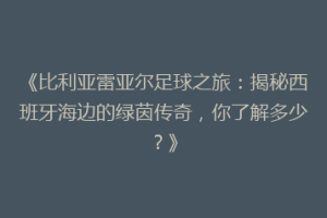《比利亚雷亚尔足球之旅：揭秘西班牙海边的绿茵传奇，你了解多少？》