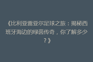 《比利亚雷亚尔足球之旅:揭秘西班牙海边的绿茵传奇,你了解多少?》