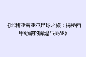 《比利亚雷亚尔足球之旅：揭秘西甲劲旅的辉煌与挑战》