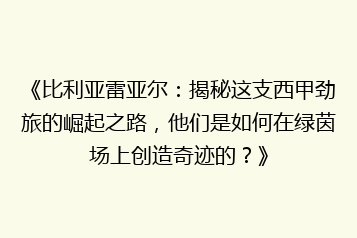 《比利亚雷亚尔:揭秘这支西甲劲旅的崛起之路,他们是如何在绿茵场上创造奇迹的?》