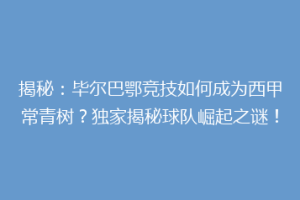 揭秘:毕尔巴鄂竞技如何成为西甲常青树?独家揭秘球队崛起之谜!