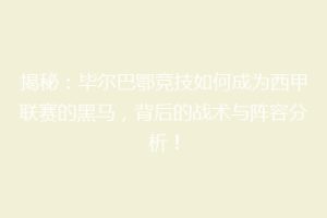 揭秘:毕尔巴鄂竞技如何成为西甲联赛的黑马,背后的战术与阵容分析!