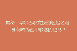 揭秘：毕尔巴鄂竞技的崛起之路，如何成为西甲联赛的黑马？