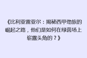 《比利亚雷亚尔：揭秘西甲劲旅的崛起之路，他们是如何在绿茵场上崭露头角的？》