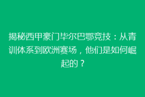 揭秘西甲豪门毕尔巴鄂竞技：从青训体系到欧洲赛场，他们是如何崛起的？