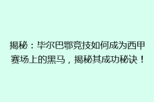 揭秘：毕尔巴鄂竞技如何成为西甲赛场上的黑马，揭秘其成功秘诀！