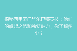 揭秘西甲豪门毕尔巴鄂竞技：他们的崛起之路和独特魅力，你了解多少？