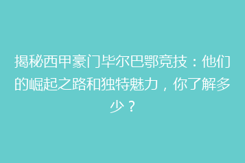 揭秘西甲豪门毕尔巴鄂竞技:他们的崛起之路和独特魅力,你了解多少?