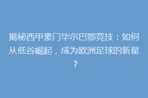 揭秘西甲豪门毕尔巴鄂竞技：如何从低谷崛起，成为欧洲足球的新星？