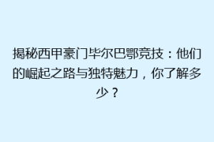 揭秘西甲豪门毕尔巴鄂竞技：他们的崛起之路与独特魅力，你了解多少？